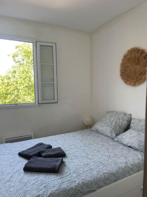 Appartement Cosy Au Coeur De L'Ecusson مونبيلييه المظهر الخارجي الصورة
