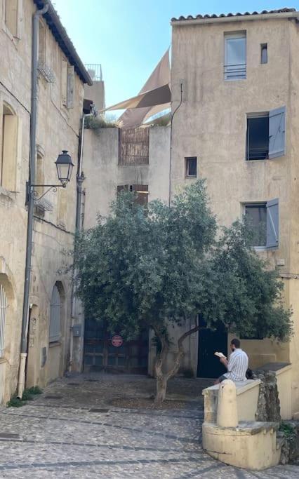 Appartement Cosy Au Coeur De L'Ecusson مونبيلييه المظهر الخارجي الصورة